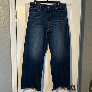 American Eagle, High-Rise, Wide Legged, Jeans, Size 10